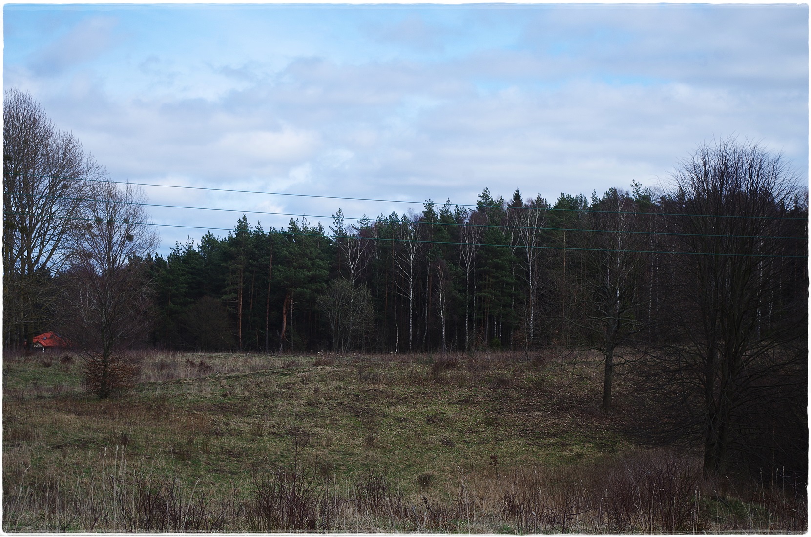 Gniewowo Działki Na Sprzedaż (7) | Nieruchomosciplus