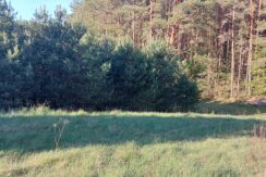 Orle duża działka przy lesie, niedaleko rzeki Orle duża działka przy lesie, niedaleko rzeki