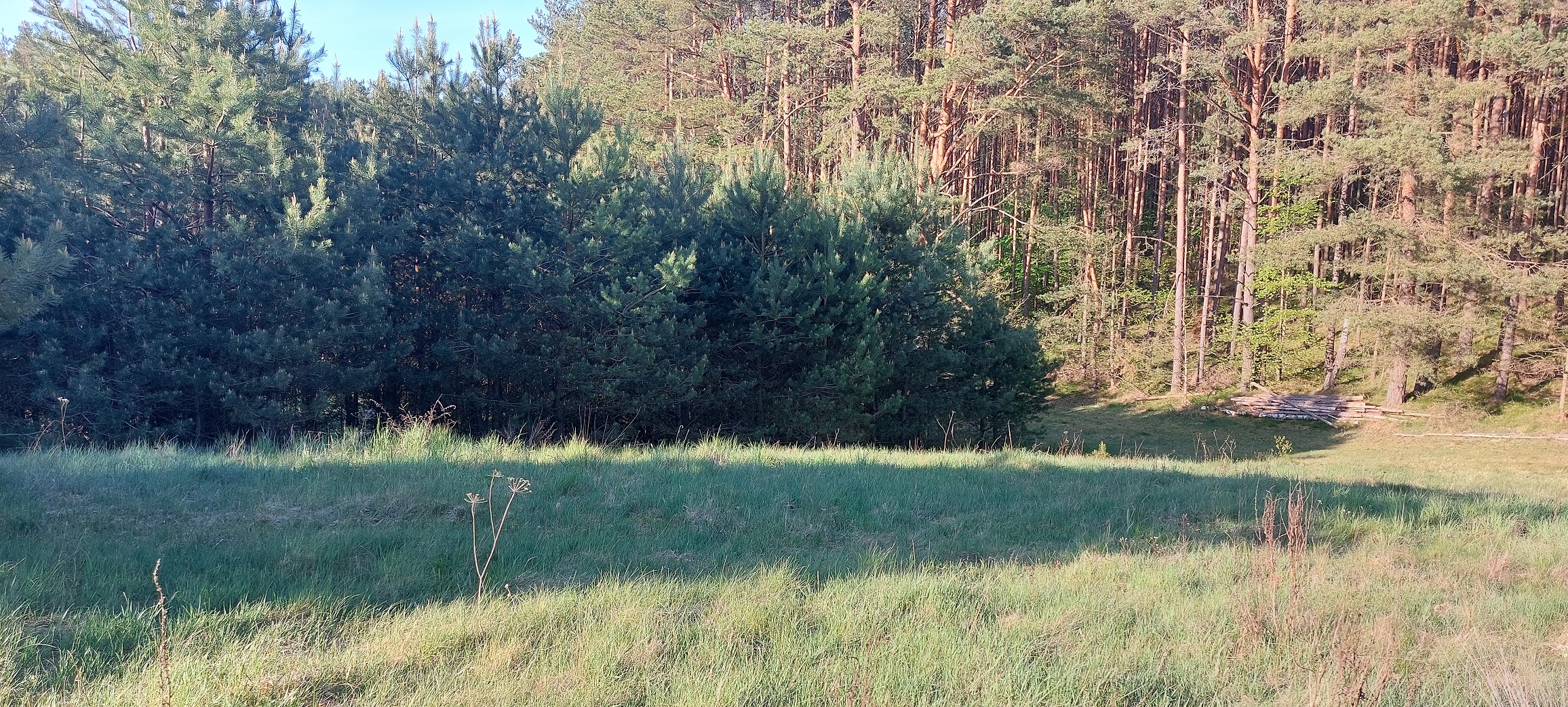 Orle duża działka  przy lesie, niedaleko rzeki
