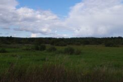 Teren rolny o powierzchni 1,31ha w miejscowości Dąbrówka