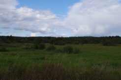 Teren rolny o powierzchni 1,31ha w miejscowości Dąbrówka