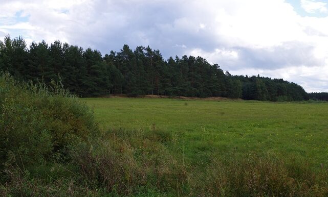 IMGP4144