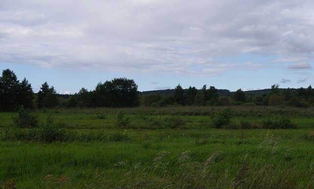 IMGP4146