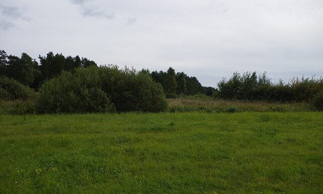 IMGP4272