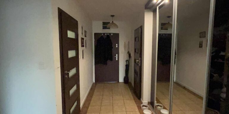 733fe88a-0673-4e22-ad10-4d3e029103d0