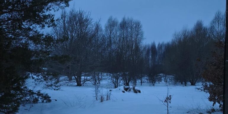 41456939-a1ca-4d54-ac4d-f5bd6ec412cc