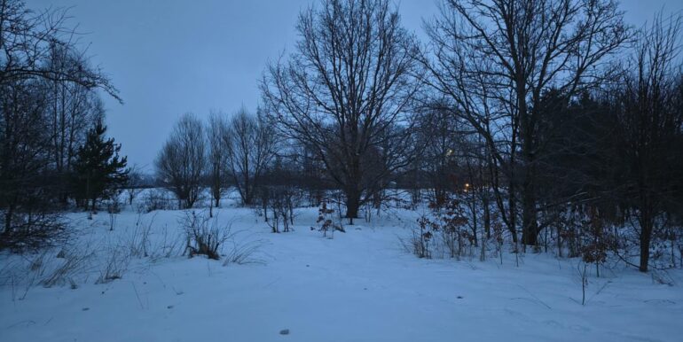 41b59518-86a8-47d2-bc73-07829917c66e