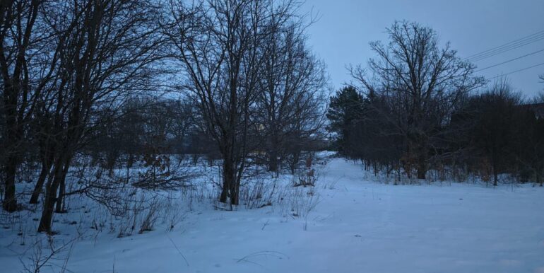 7defb463-e839-4770-a971-26455533bb45