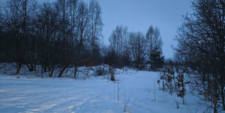 ae65c0cf-129d-44ee-83e6-af5a7ada92a5