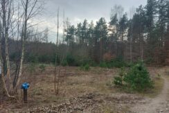 Działka budowlana położona w otulinie Trójmiejskiego Parku Krajobrazowego – Zaciszne Zalesie