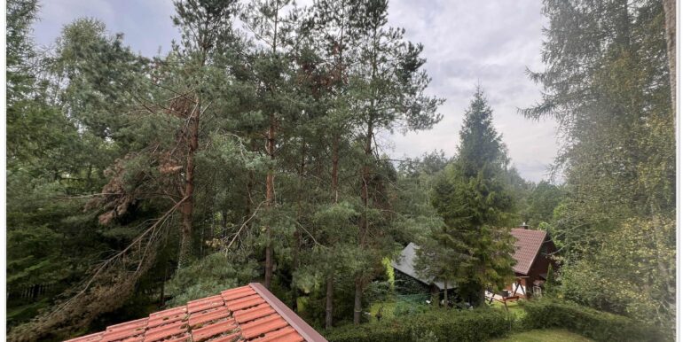 543945ca-f60f-41db-bdc7-c65e47b698d9