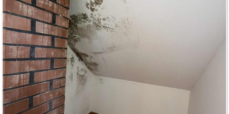 789e8b12-7229-4b3a-b979-7940f81ecbec