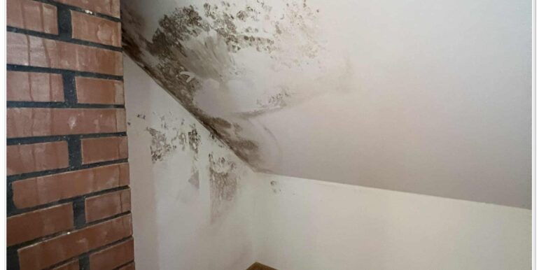 79b0c394-0d16-4e5f-9de2-2826651281ab