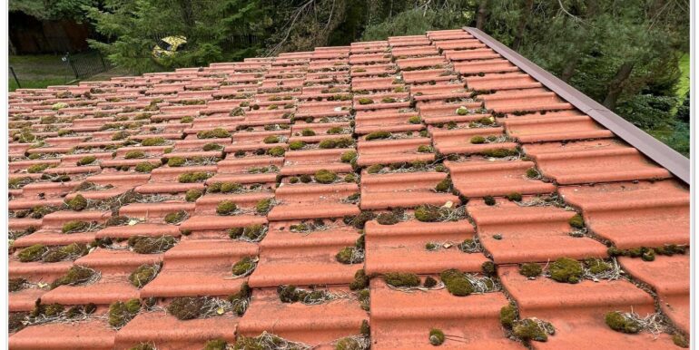 8fe08f42-e753-43b8-925c-73a17c93e5f0