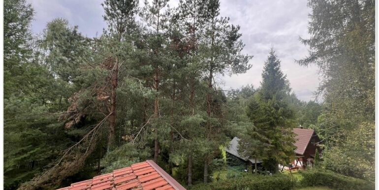 a0221942-8f4f-44c9-8848-8714f713ee73