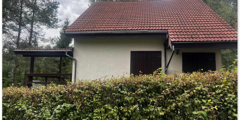 b86ed00a-1da1-44a0-a3d8-70d416cca5d2