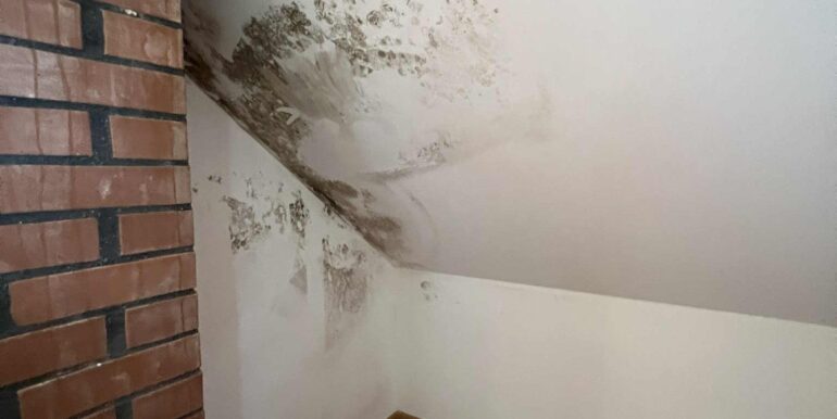 79b0c394-0d16-4e5f-9de2-2826651281ab