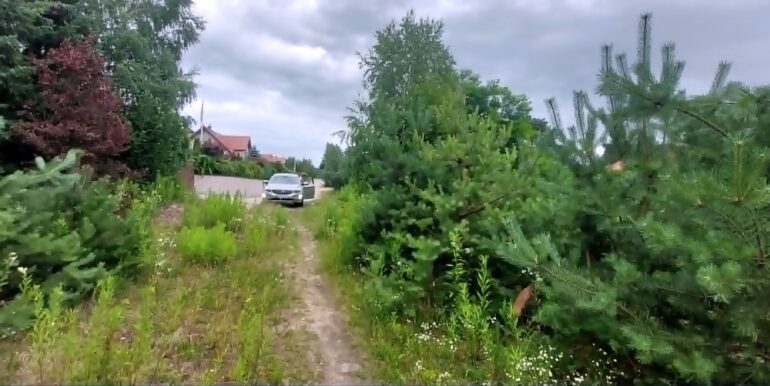 Gowino 2163metry,działka (15)